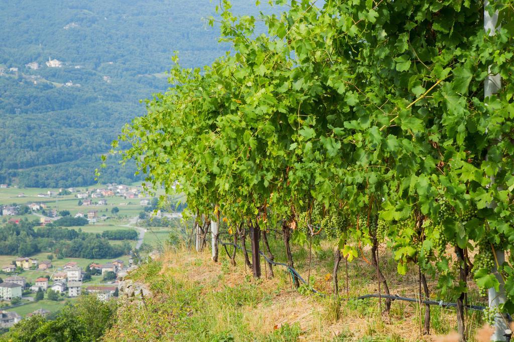 B&B Ca' La Vedescia Teglio Bagian luar foto