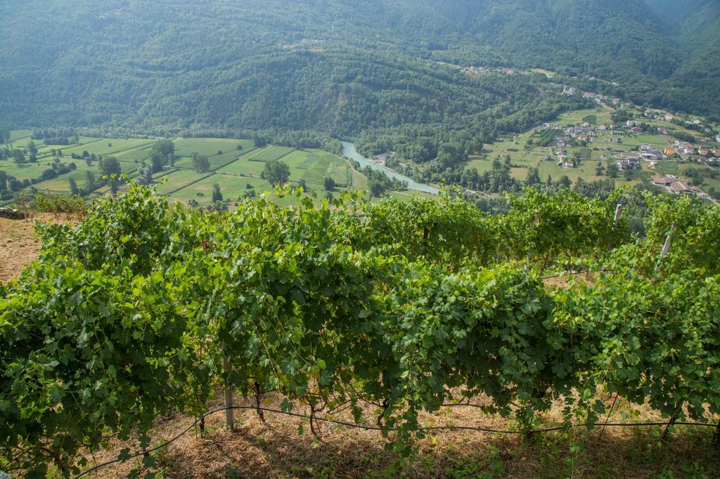 B&B Ca' La Vedescia Teglio Bagian luar foto